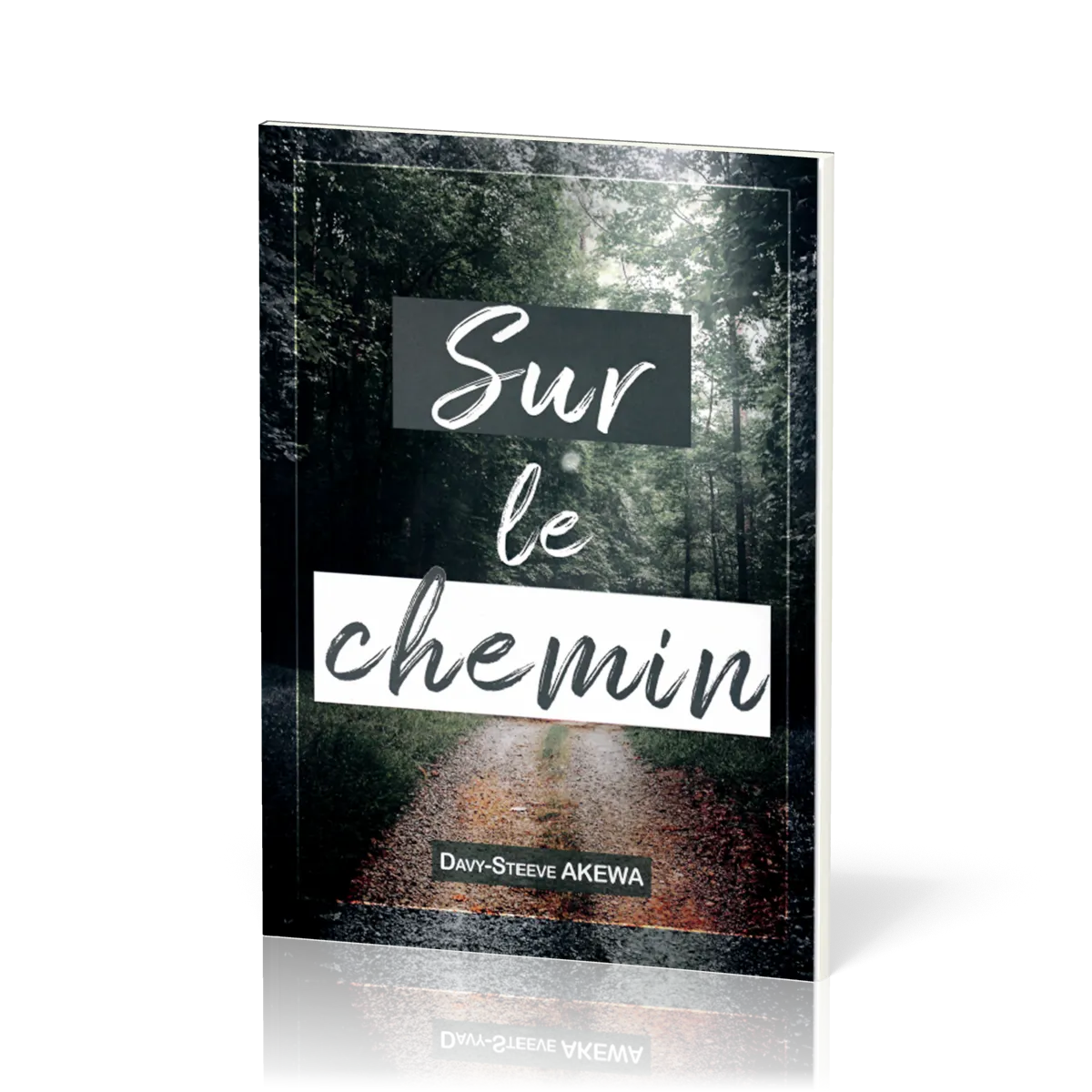 Sur le chemin