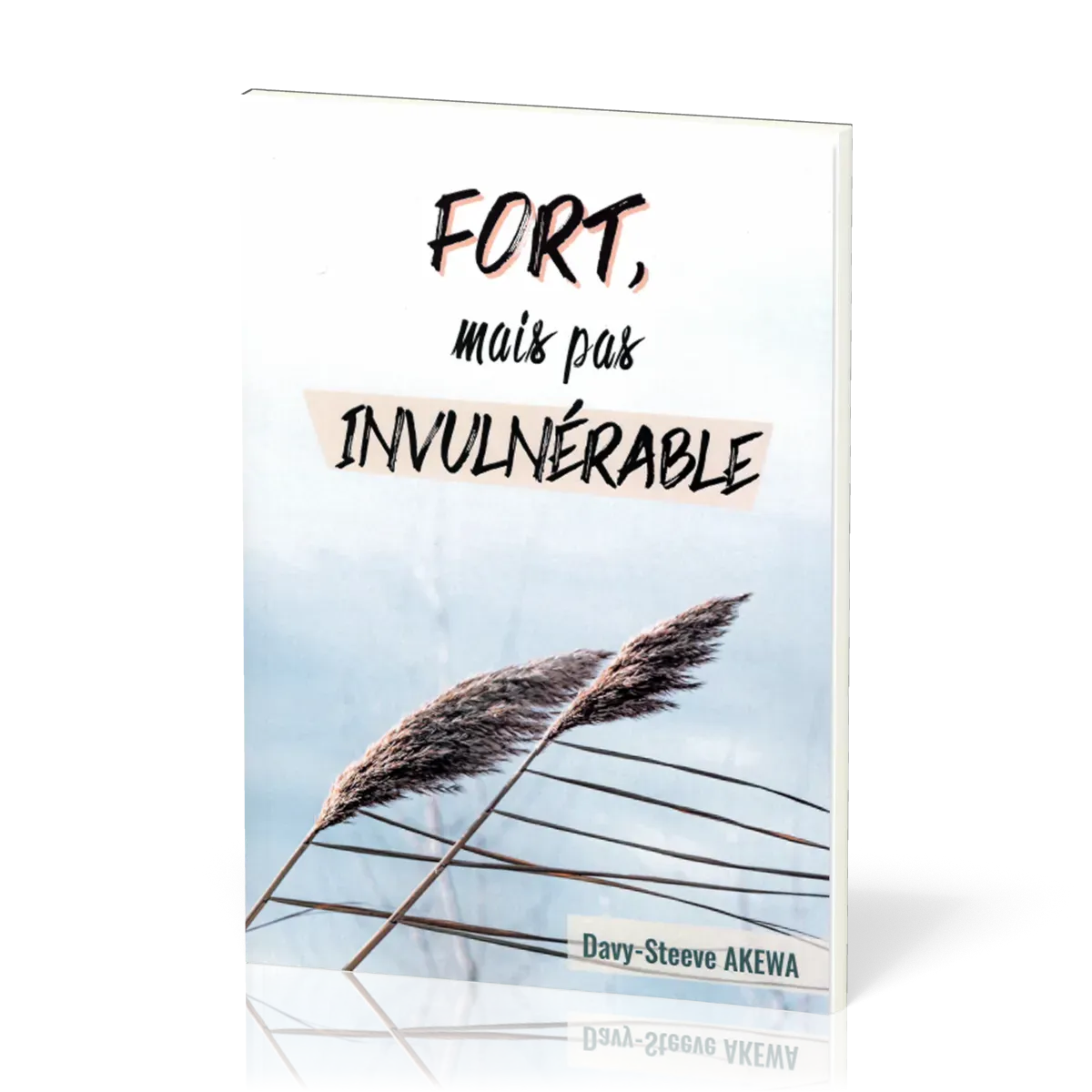 Fort, mais pas invulnérable par Davy-Steeve Akewa
