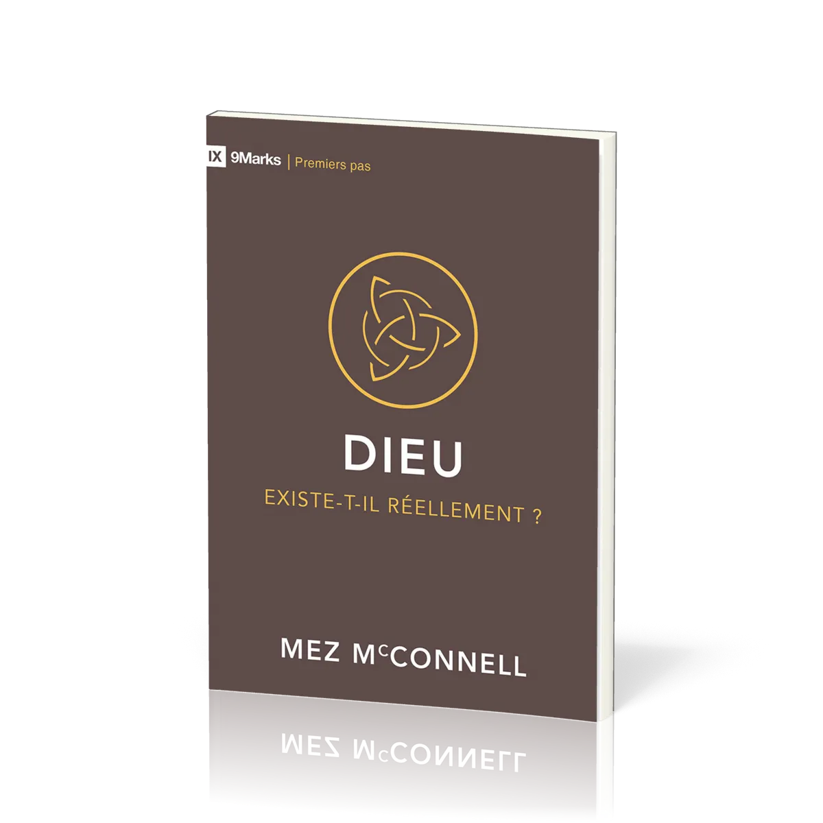 Dieu existe-t-il réellement? - (9Marks:Premiers pas)