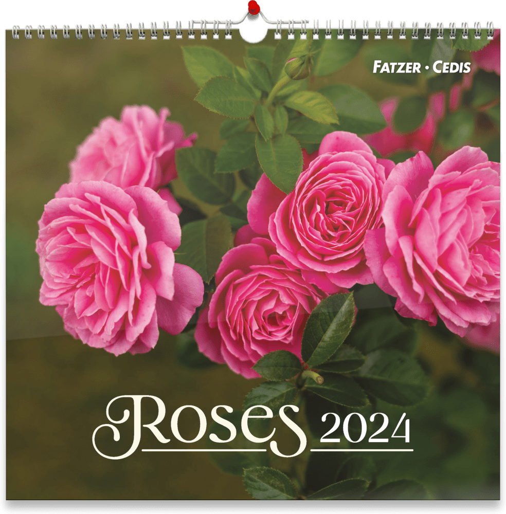 Calendrier Roses - grand format