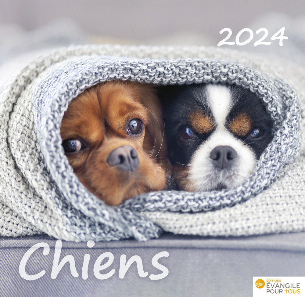 Calendrier Chiens - Merveilles de la création 2023