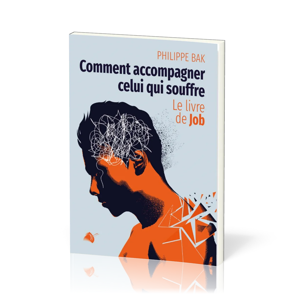 Comment accompagner celui qui souffre - le livre de Job
