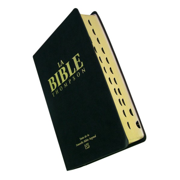 BIBLE NBS THOMPSON, SOUPLE VINYL NOIR, TRANCHE OR, ONGLETS