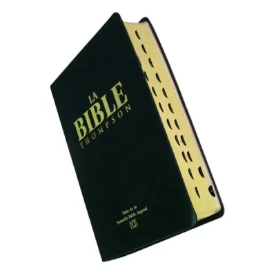 BIBLE NBS THOMPSON, SOUPLE VINYL NOIR, TRANCHE OR, ONGLETS