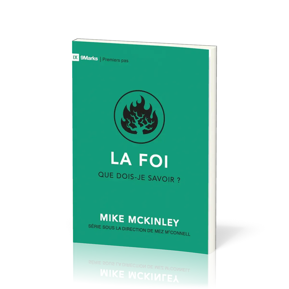 Foi que dois-je savoir? (La)