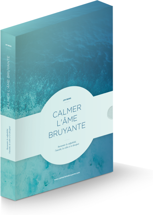 Calmer l'âme bruyante - surmonter la culpabilité, l'anxiété, la colère et le désespoir