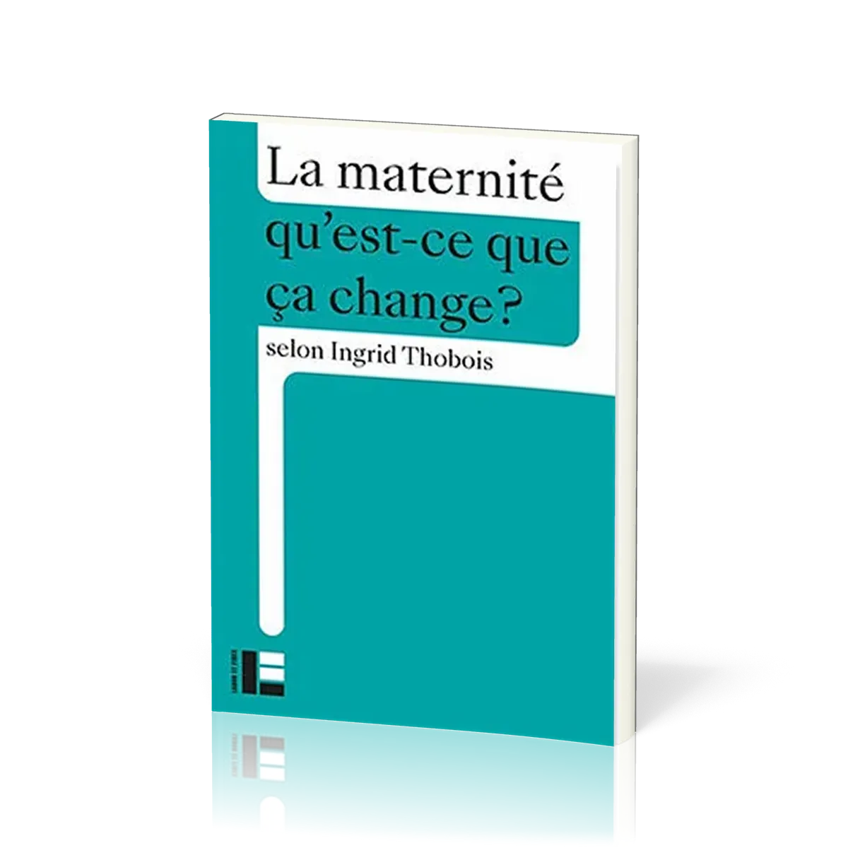 Maternité qu'est-ce que ça change ? (La)