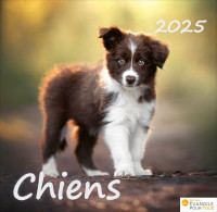 Calendrier Chiens - Merveilles de la création