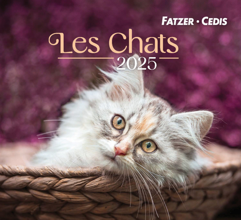 Calendrier  Les chats - petit format