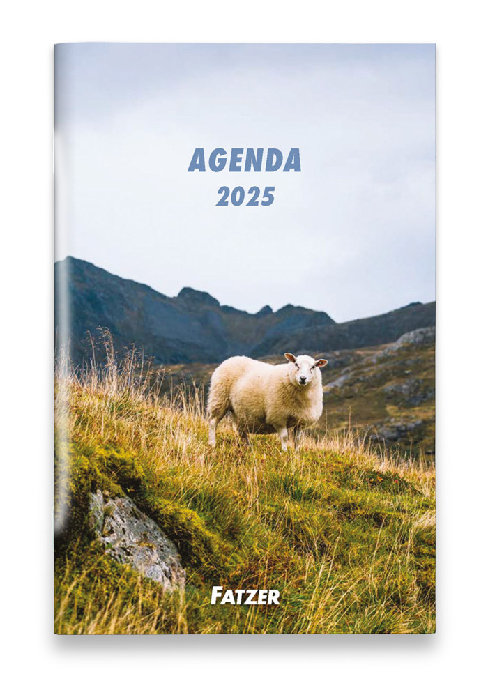 Agenda 4 langues