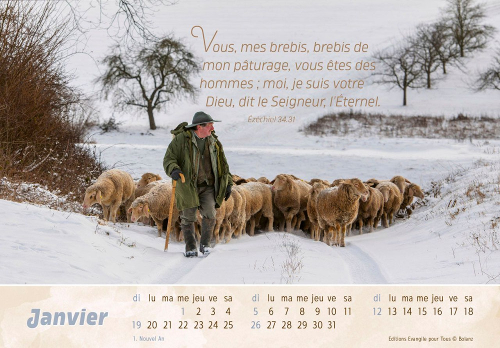 Calendrier Bon Berger (le) - cartes postales