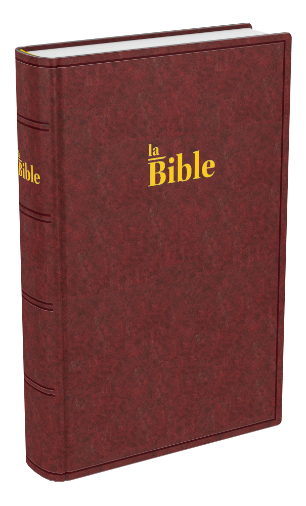 Bible Darby 2024 compact, rigide brun-rouge