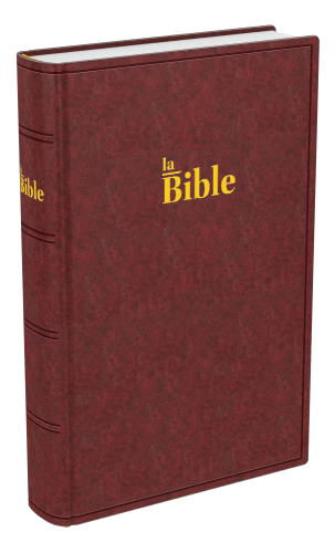 Bible Darby 2024 compact, rigide brun-rouge