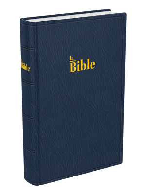 Bible Darby 2024 compact, souple bleu