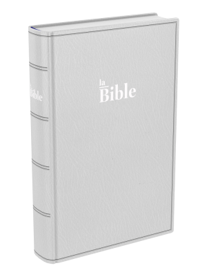 Bible Darby 2024 compact, souple gris