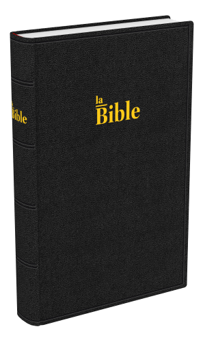Bible Darby 2024  standard rigide - noir