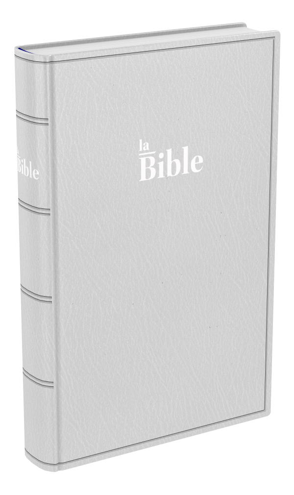 Bible Darby 2024  standard souple, gris