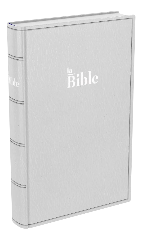 Bible Darby 2024  standard souple, gris
