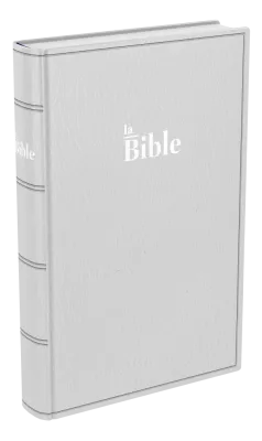Bible Darby 2024  standard souple, gris