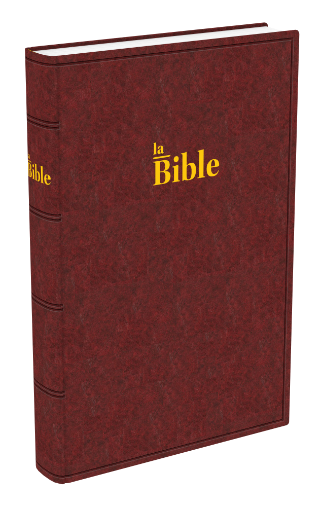 Bible Darby 2024  grand format, rigide, brun-rouge