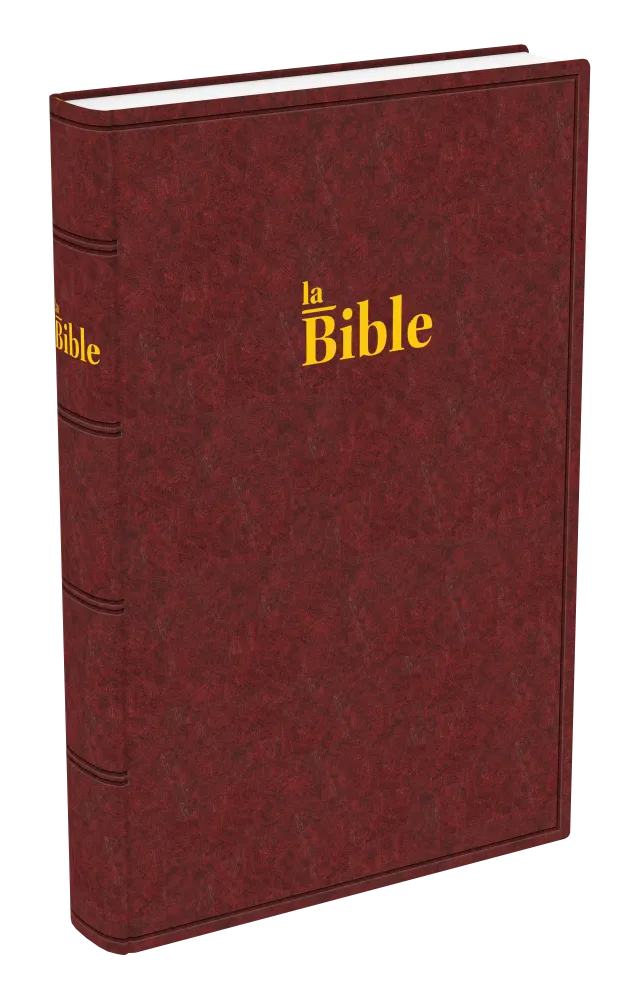 Bible Darby - grand format rigide brun-rouge