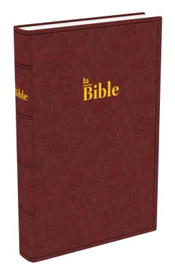 Bible Darby - grand format rigide brun-rouge