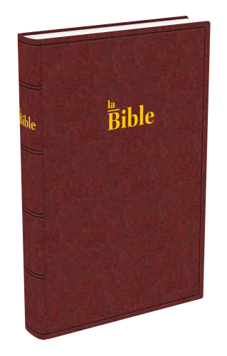 Bible Darby - grand format rigide brun-rouge