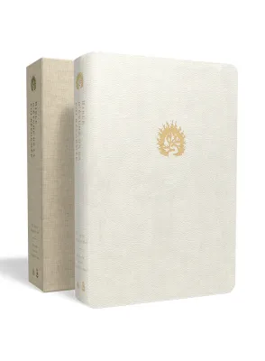 Bible Colombe - Bible d'étude de la foi réformée - Blanc, similicuir
