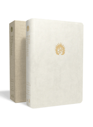 Bible Colombe - Bible d'étude de la foi réformée - Blanc, similicuir