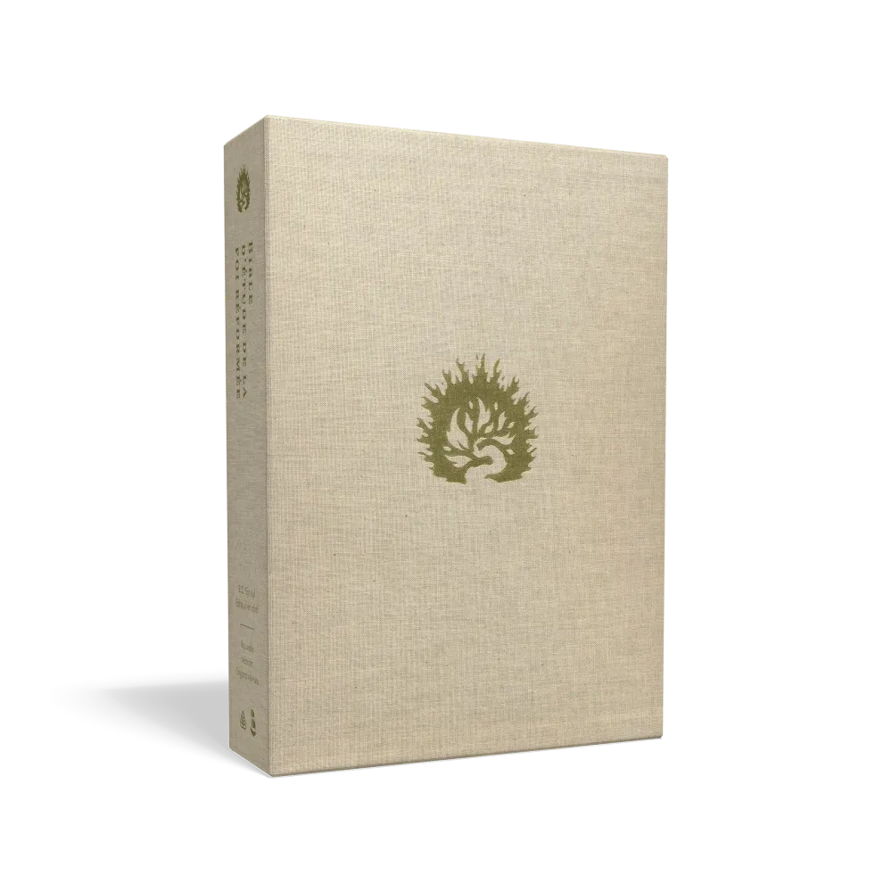 Bible Colombe - Bible d'étude de la foi réformée - Blanc, similicuir