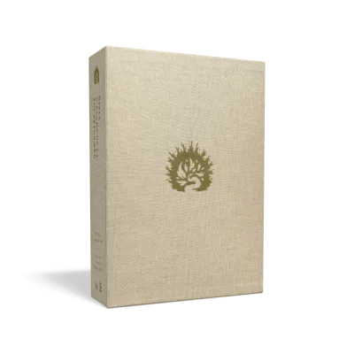 Bible Colombe - Bible d'étude de la foi réformée - Blanc, similicuir