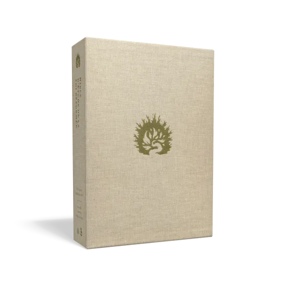 Bible Colombe - Bible d'étude de la foi réformée - Blanc, similicuir
