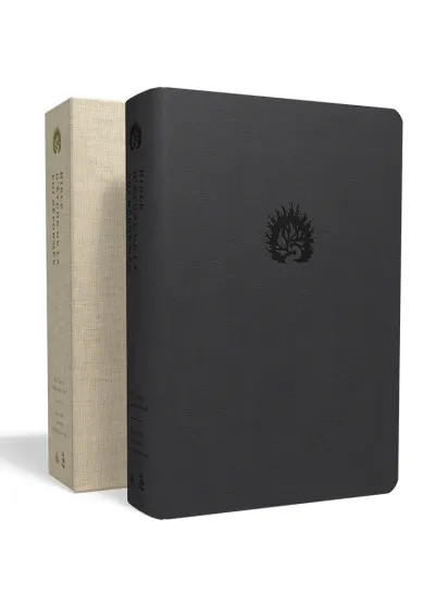 Bible Colombe - Bible d'étude de la foi réformée - Anthracite, similicuir