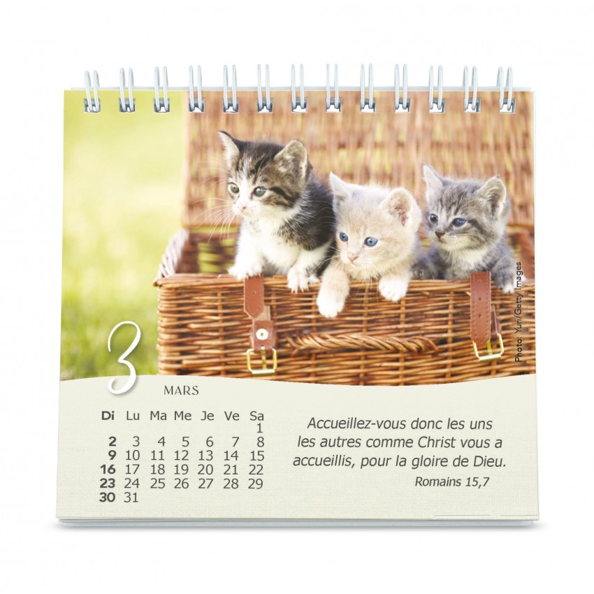 Calendrier  Les chats - petit format