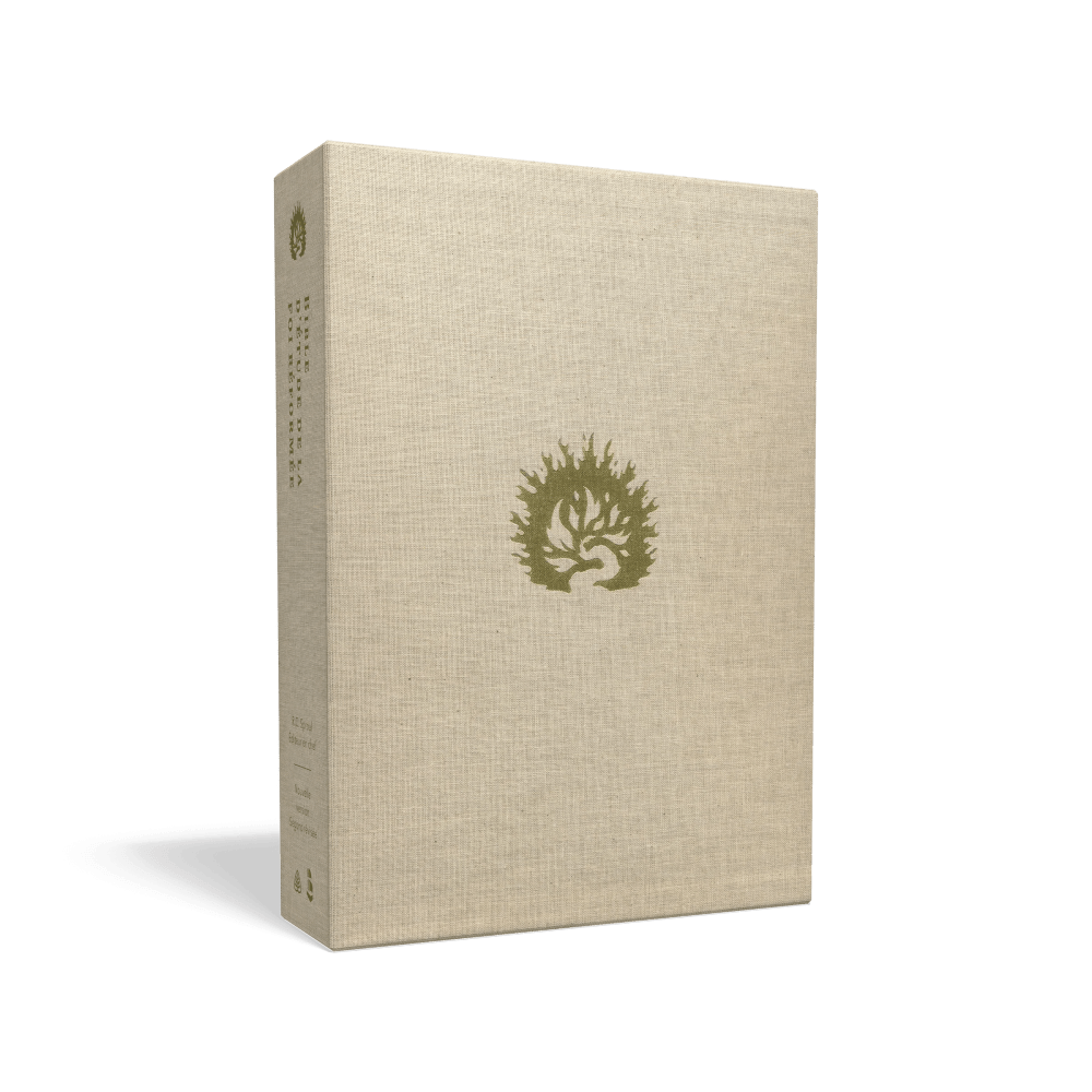 Bible Colombe - Bible d'étude de la foi réformée - Bleu marine, similicuir