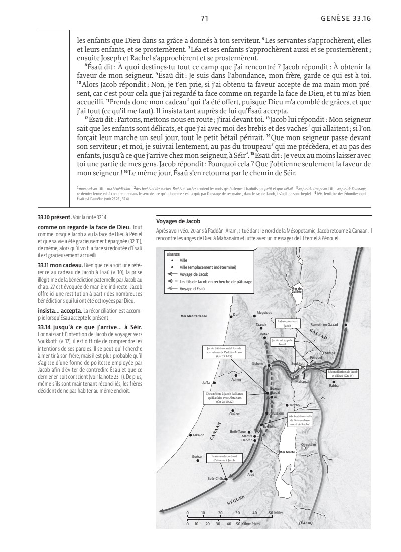Bible Colombe - Bible d'étude de la foi réformée - Bleu marine, similicuir