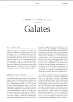 Bible Colombe - Bible d'étude de la foi réformée - Bleu marine, similicuir
