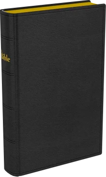 Bible Darby 2024 compact, cuir noir