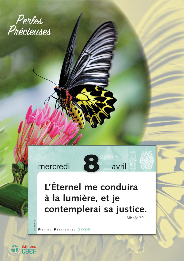 Calendrier Perles Précieuses - bloc à effeuiller et plaque