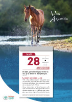 Calendrier Vivre Aujourd'hui - bloc à effeuiller, grande plaque