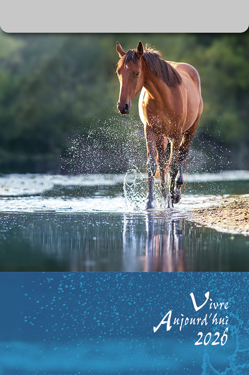 Calendrier Vivre Aujourd'hui - bloc à effeuiller, grande plaque