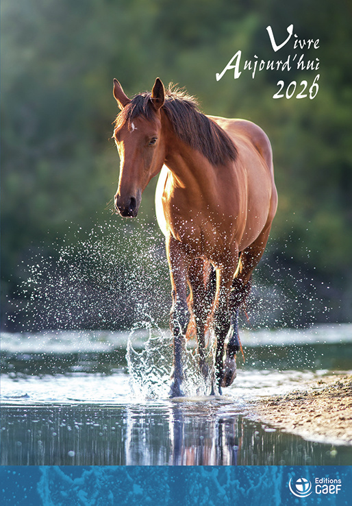 Calendrier Vivre Aujourd'hui - livre broché