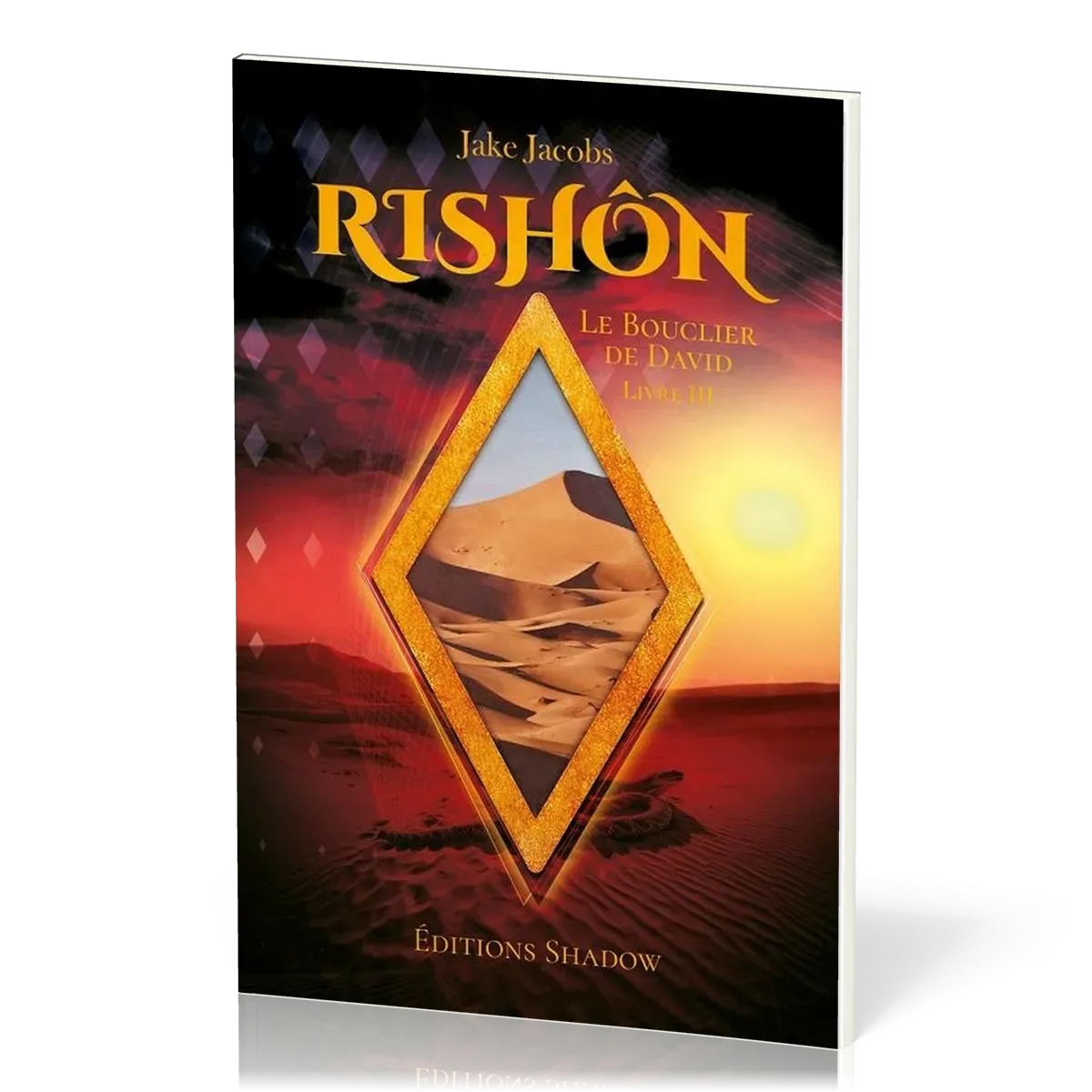 Rhishon - Le Bouclier de David Tome 3