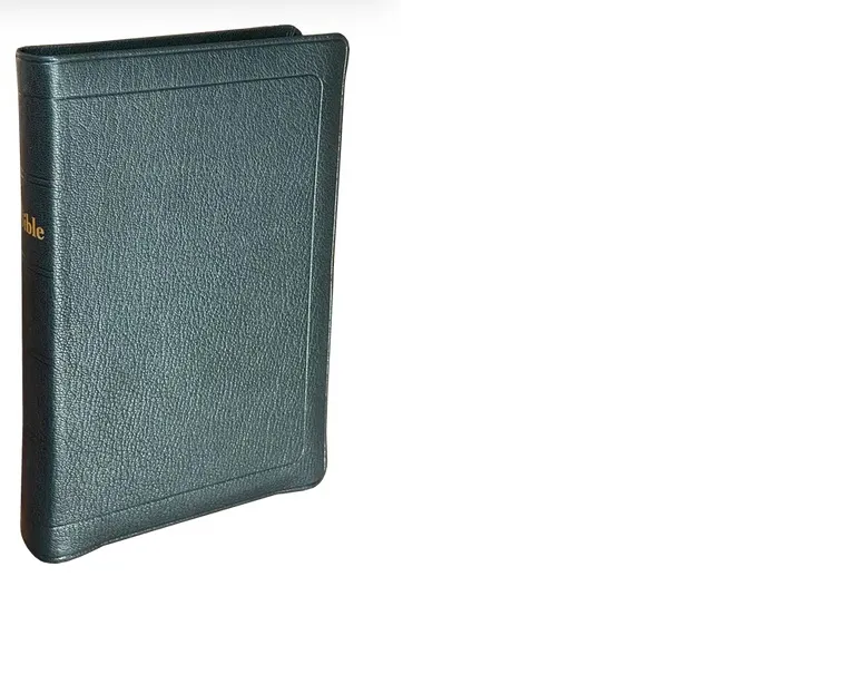 Bible Darby 2024  standard cuir noir