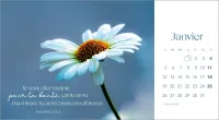 Calendrier Les fleurs - avec verset