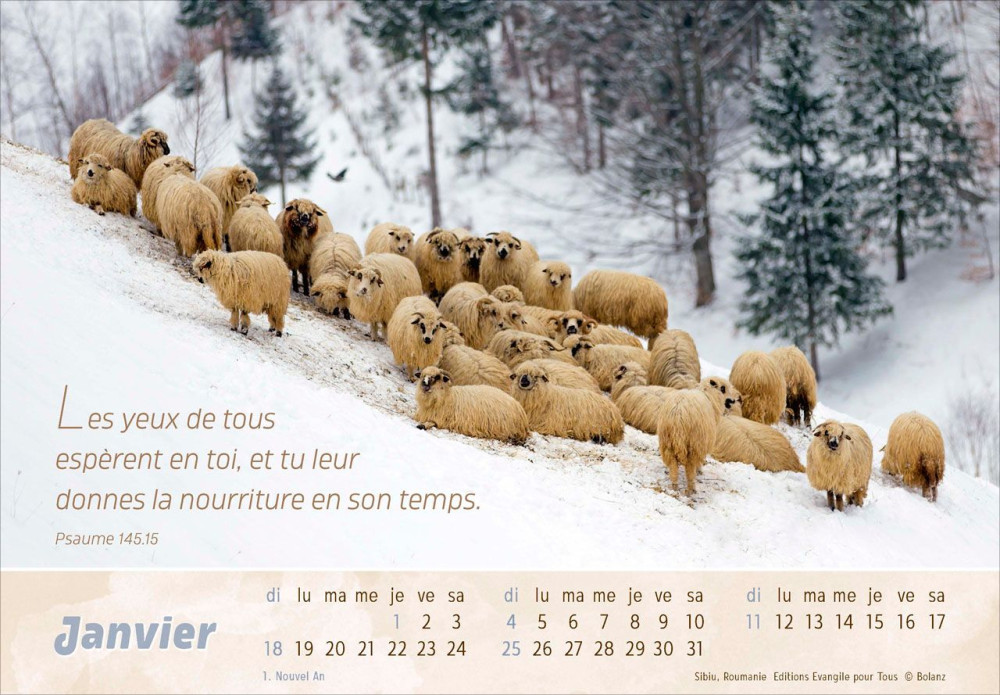 Calendrier Le Bon Berger  - cartes postales