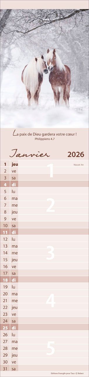 Calendrier Pour Vous - allongé