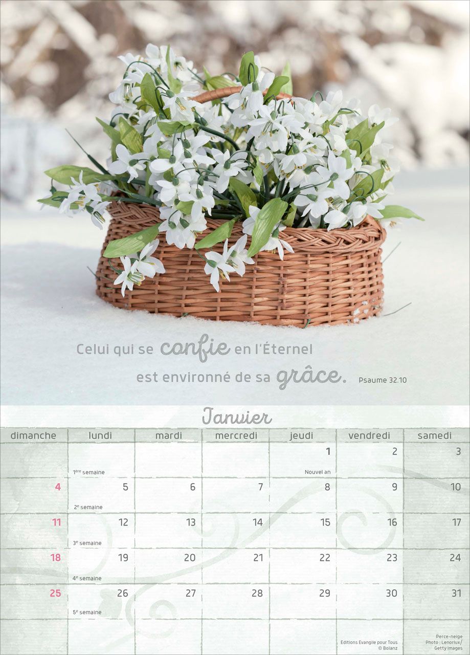 Calendrier Moments de joie - mural