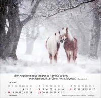 Calendrier Chevaux - Merveilles de la création