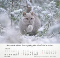 Calendrier Chats - Merveilles de la création